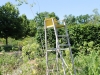saut3