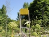 saut6